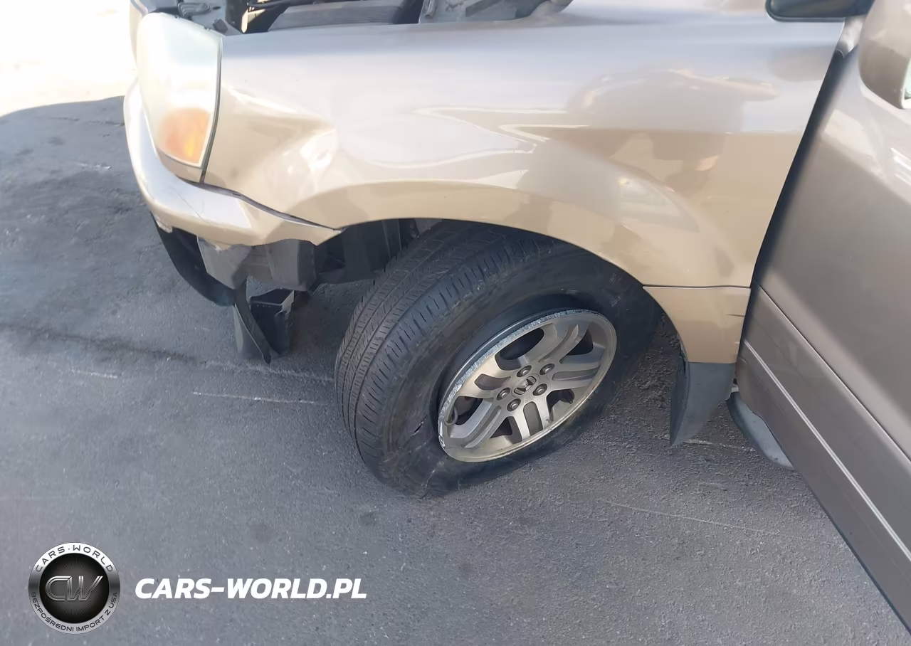 2004 Honda Pilot Ex-L VIN:2HKYF18534H542788 - 6
