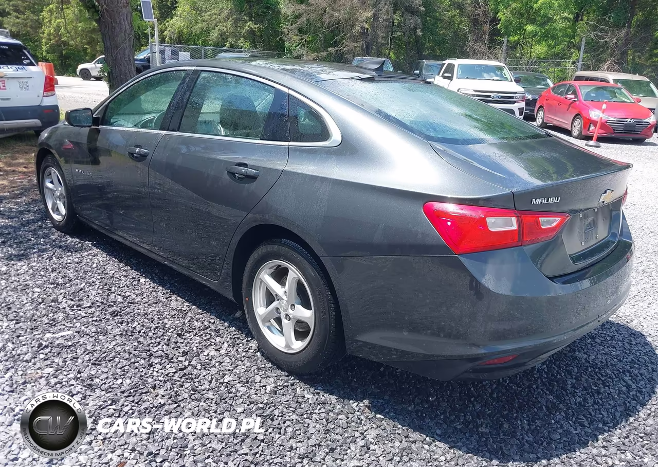 2017 Chevrolet Malibu 1Fl VIN:1G1ZC5ST1HF234328 - 3