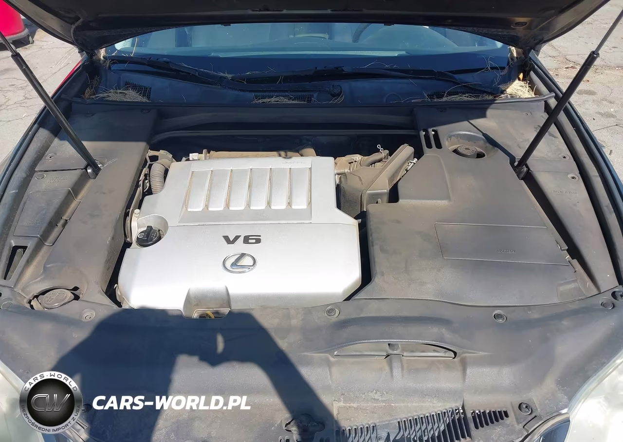 2010 Lexus Es 350 VIN:JTHBK1EG1A2360932 - 10