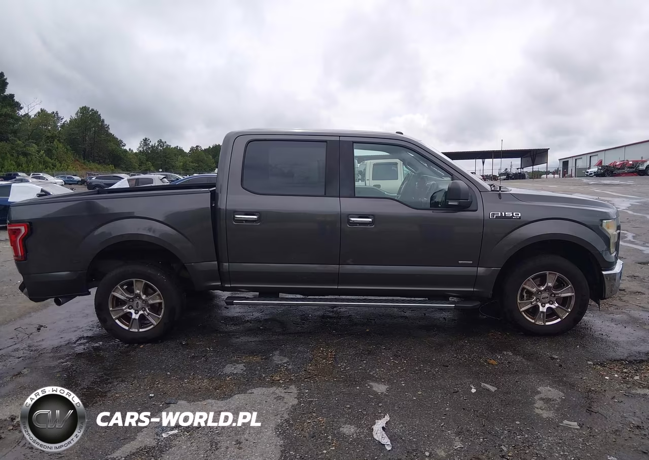 2016 Ford F-150 Xlt VIN:1FTEW1CP7GKF45288 - 13