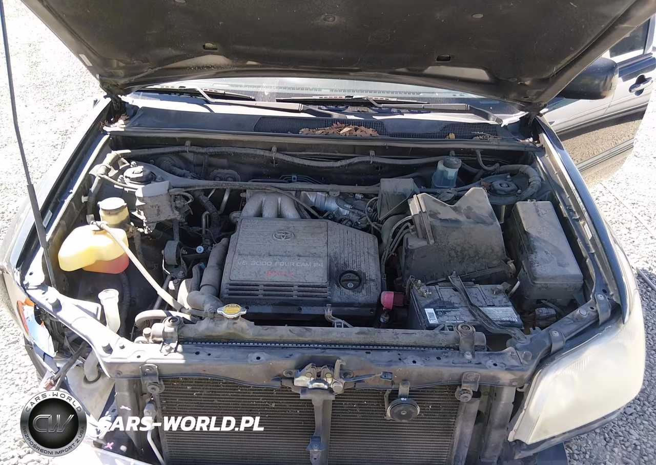 2002 Toyota Highlander V6 VIN:JTEHF21A520055966 - 10