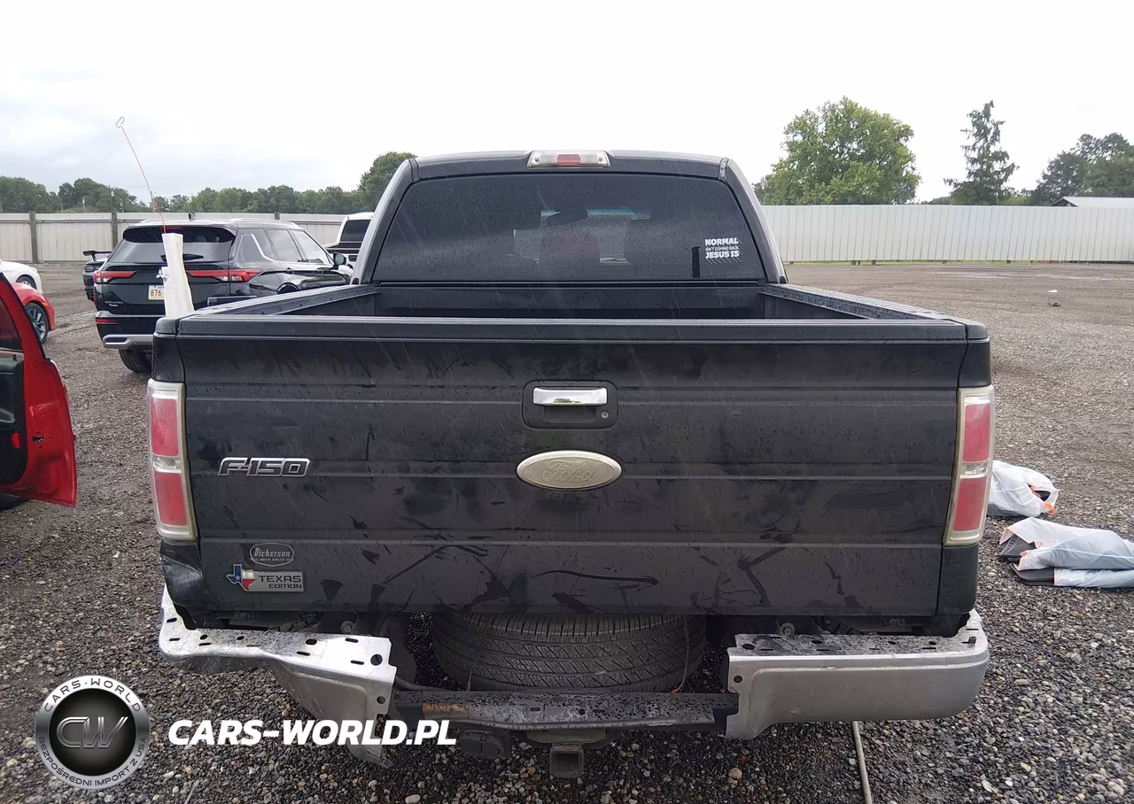 2011 Ford F-150 Xlt VIN:1FTFW1CT5BFB22969 - 17