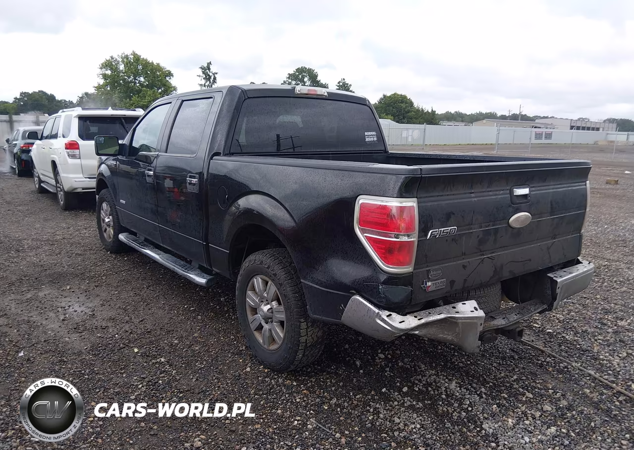 2011 Ford F-150 Xlt VIN:1FTFW1CT5BFB22969 - 3