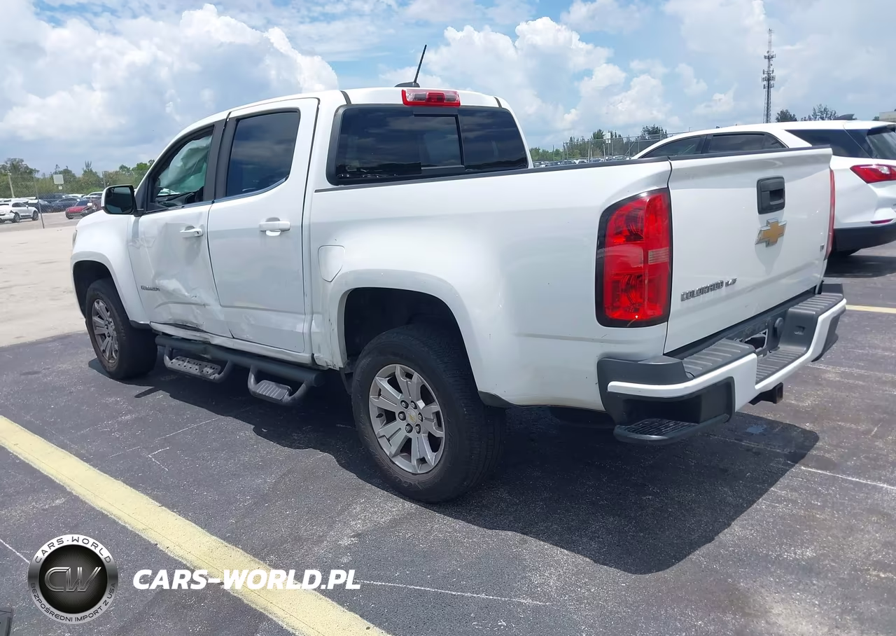 2019 Chevrolet Colorado Lt VIN:1GCGSCEN0K1354581 - 3