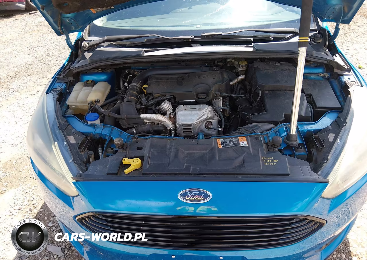 2016 Ford Focus Se VIN:1FADP3FE8GL223984 - 10