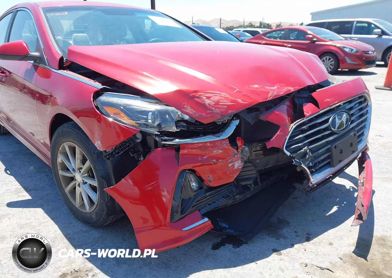 2019 Hyundai Sonata Se VIN:5NPE24AF8KH800030 - 12