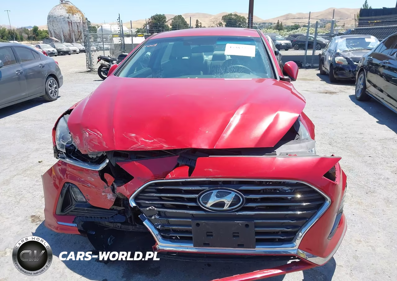 2019 Hyundai Sonata Se VIN:5NPE24AF8KH800030 - 16