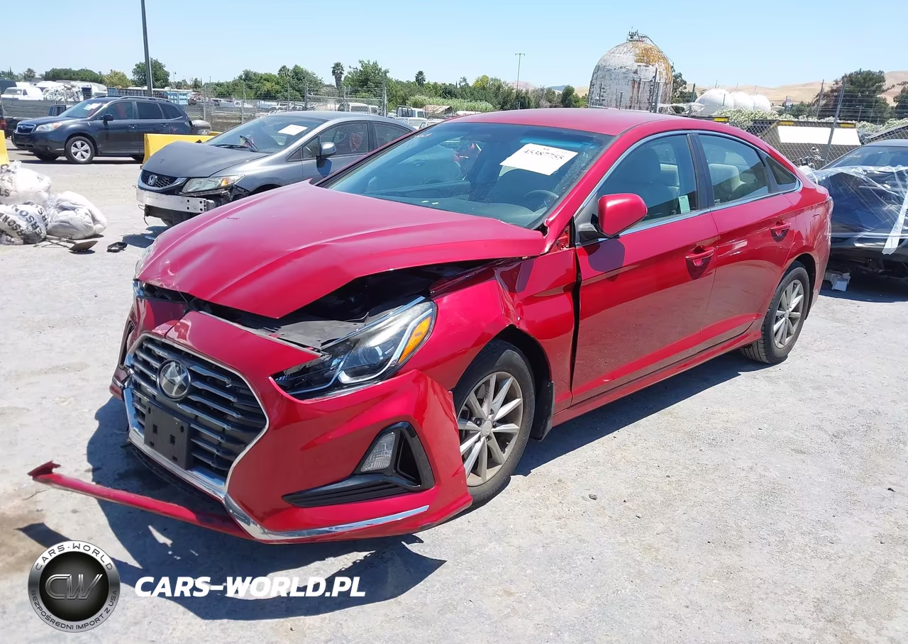 2019 Hyundai Sonata Se VIN:5NPE24AF8KH800030 - 2