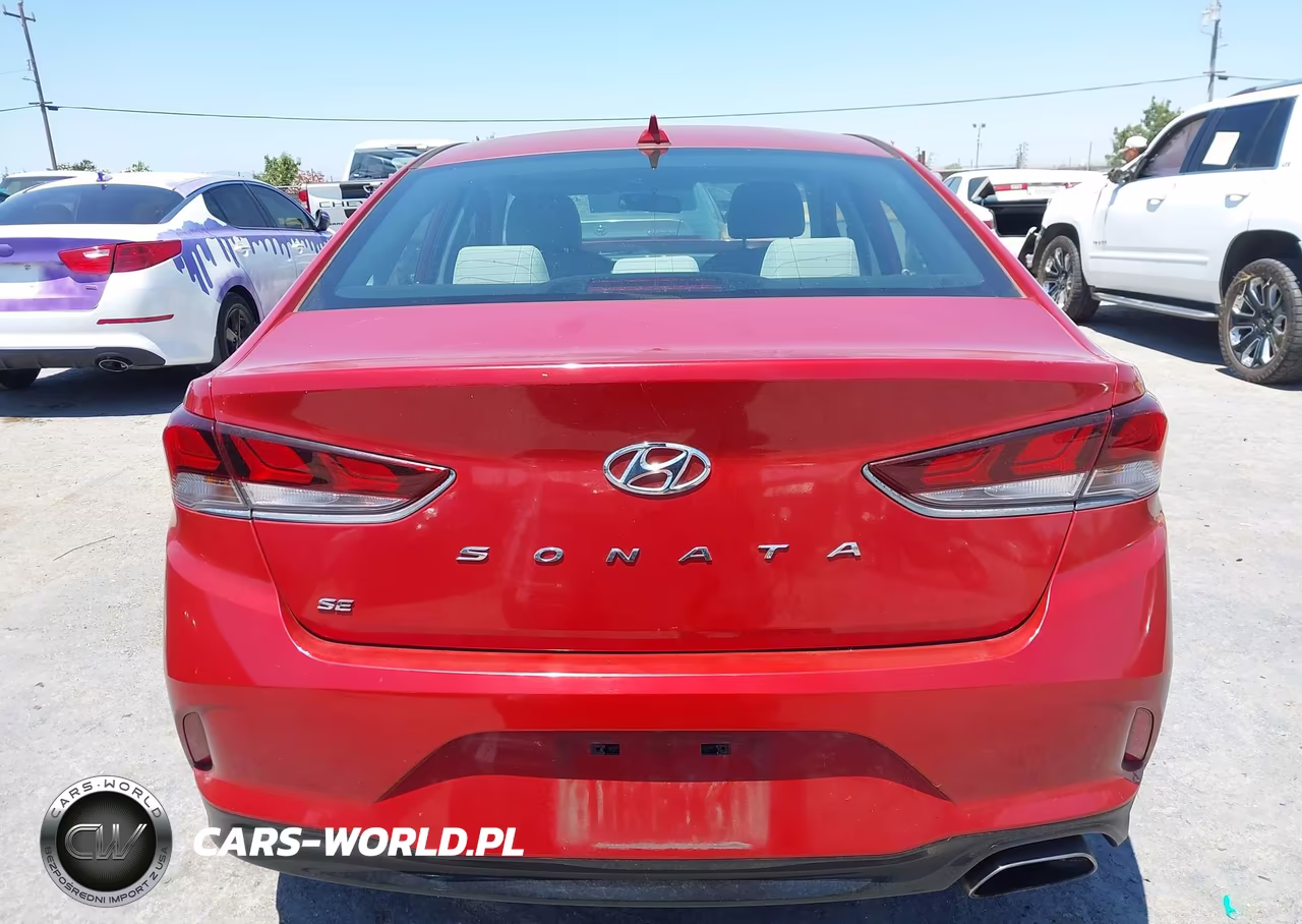 2019 Hyundai Sonata Se VIN:5NPE24AF8KH800030 - 20