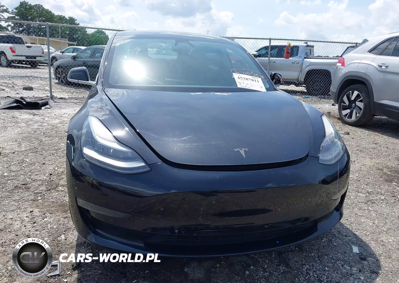 2020 Tesla Model 3 Standard Range Plus Rear-Wheel Drive-Standard Range Rear-Wheel Drive VIN:5YJ3E1EA3LF796643 - 13