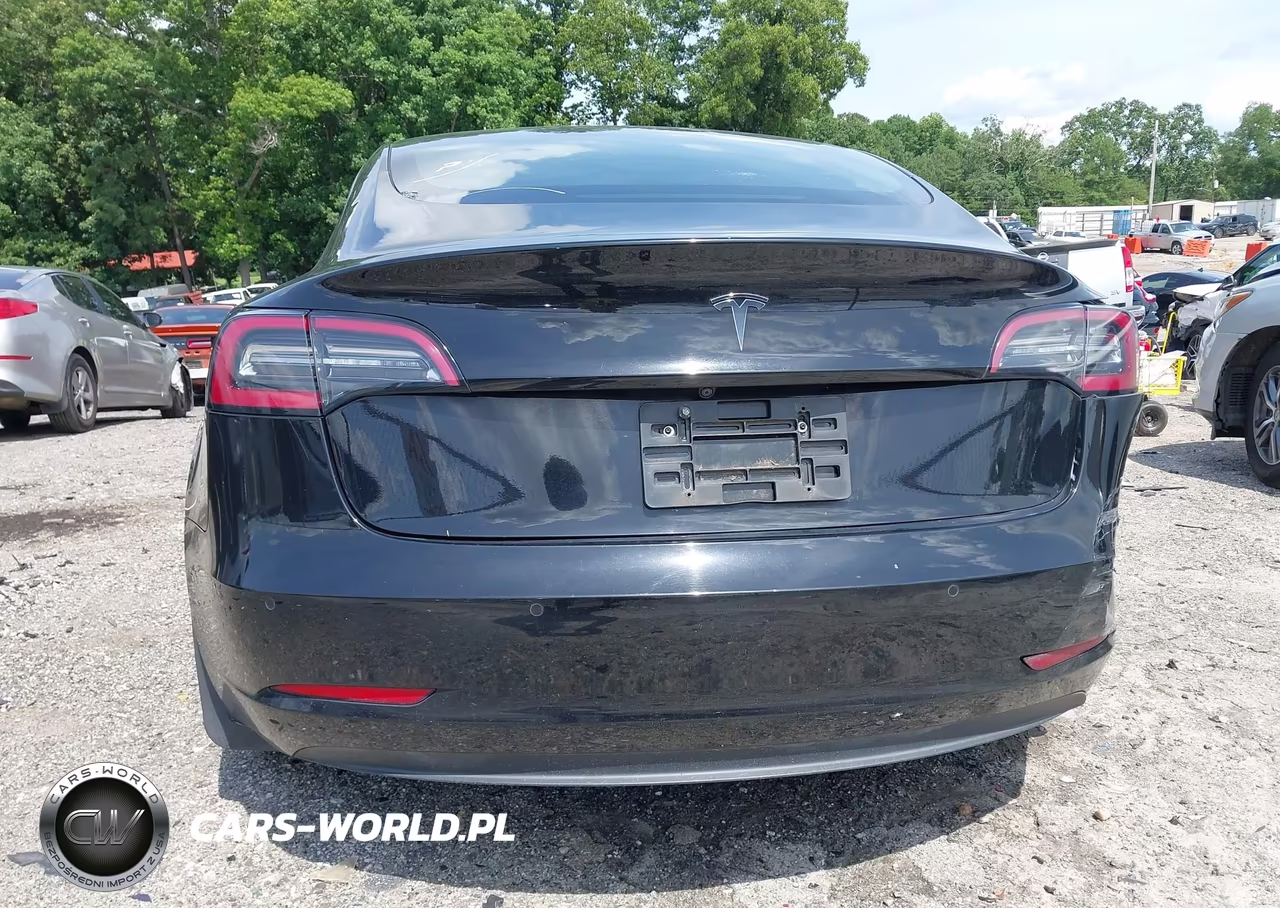 2020 Tesla Model 3 Standard Range Plus Rear-Wheel Drive-Standard Range Rear-Wheel Drive VIN:5YJ3E1EA3LF796643 - 17
