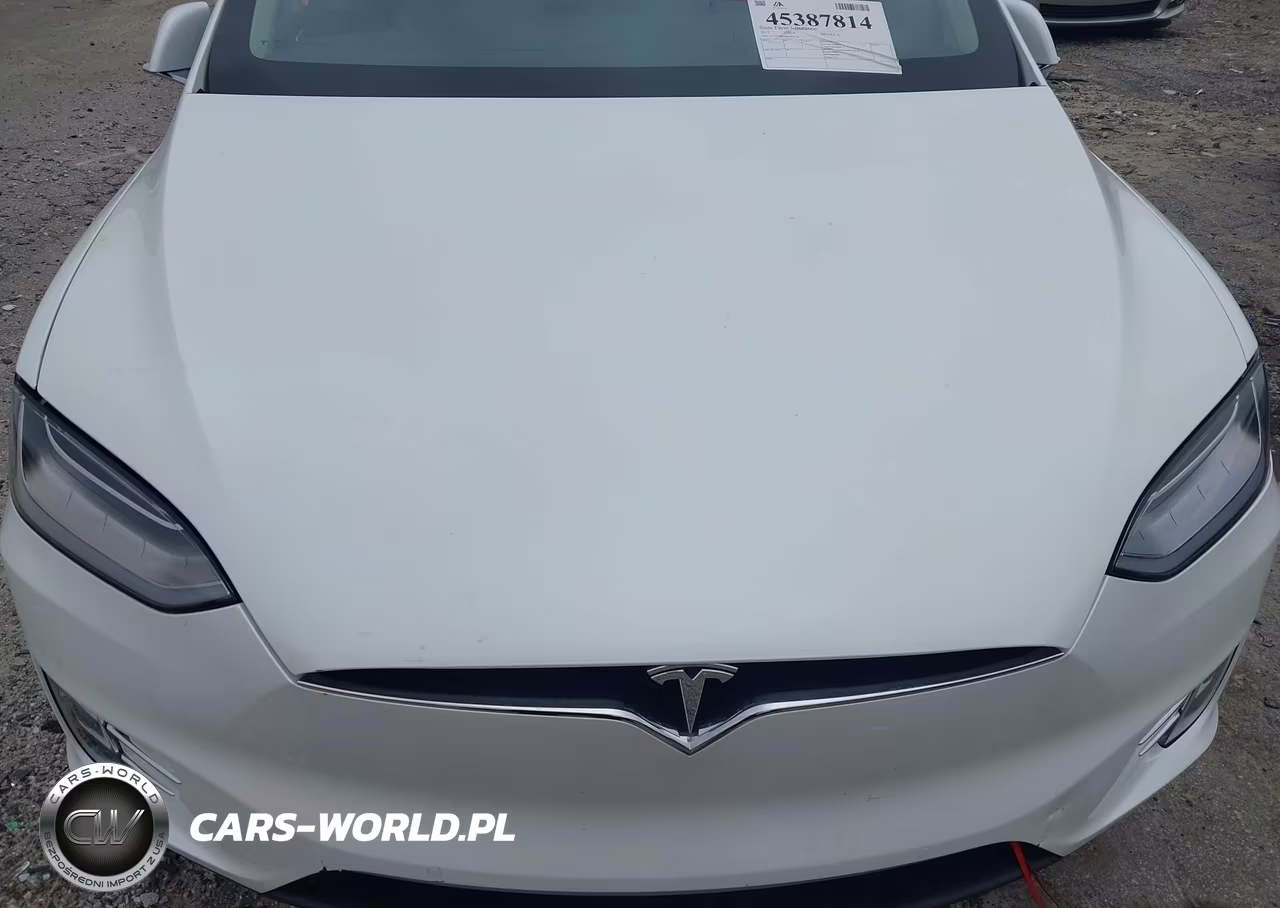 2017 Tesla Model X P100D VIN:5YJXCBE49HF067514 - 10