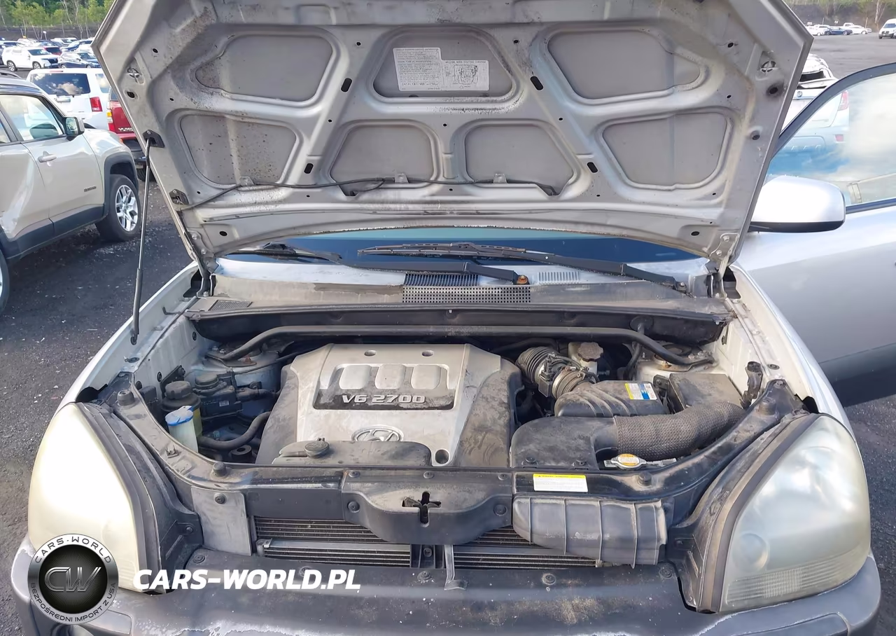 2006 Hyundai Tucson Gls-Limited VIN:KM8JN12D66U343968 - 10