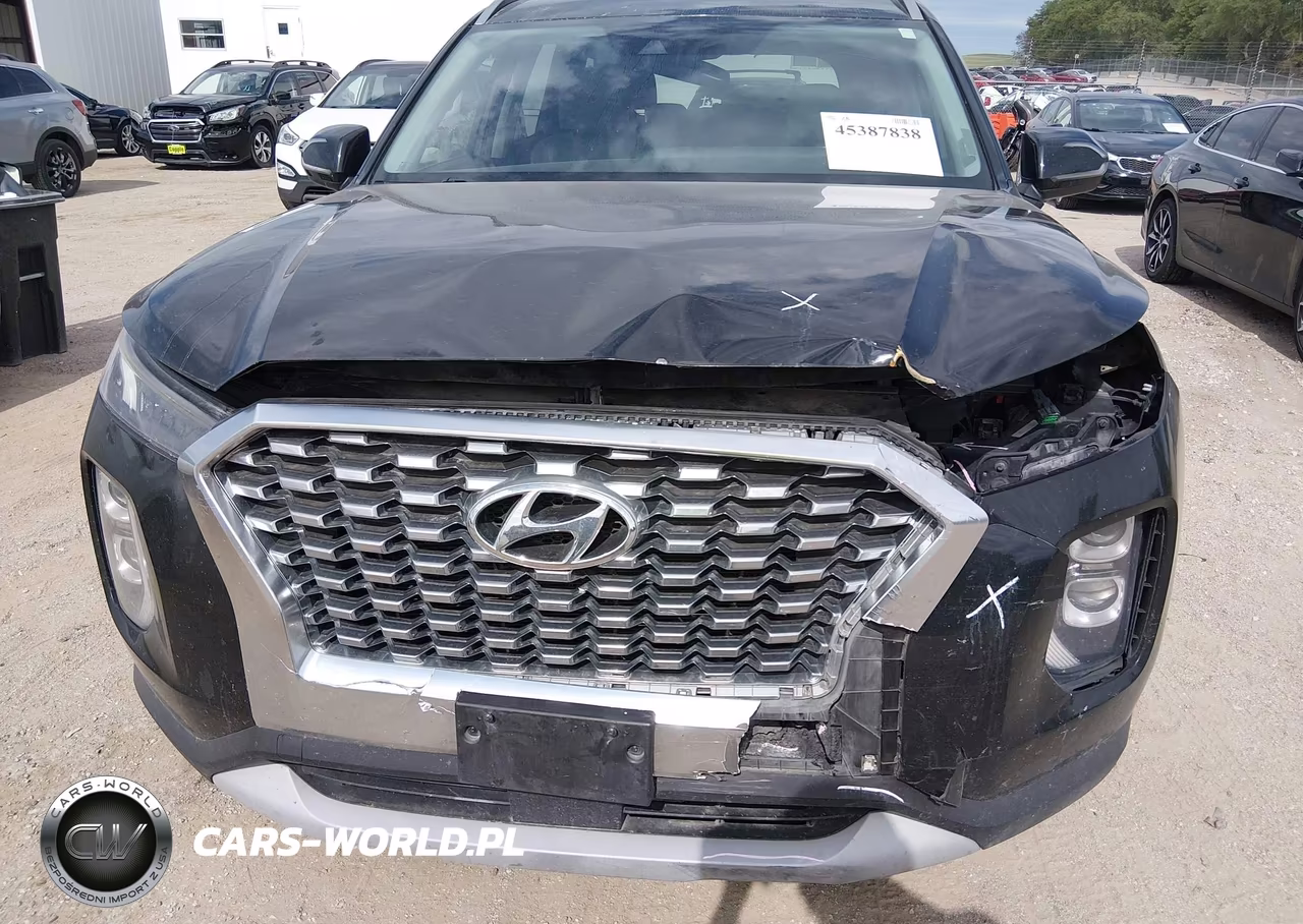 2020 Hyundai Palisade Sel VIN:KM8R2DHE6LU043792 - 18