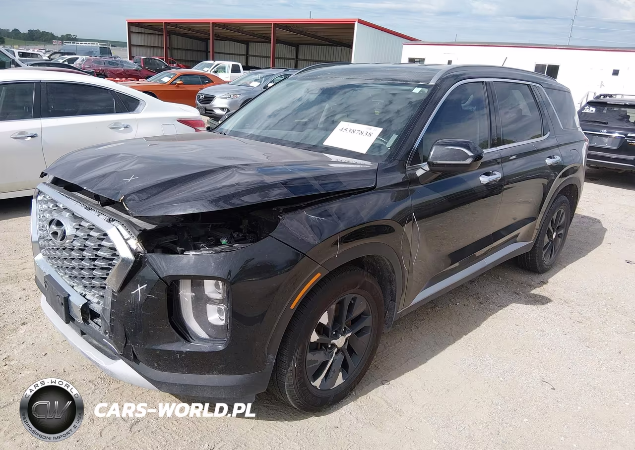 2020 Hyundai Palisade Sel VIN:KM8R2DHE6LU043792 - 2