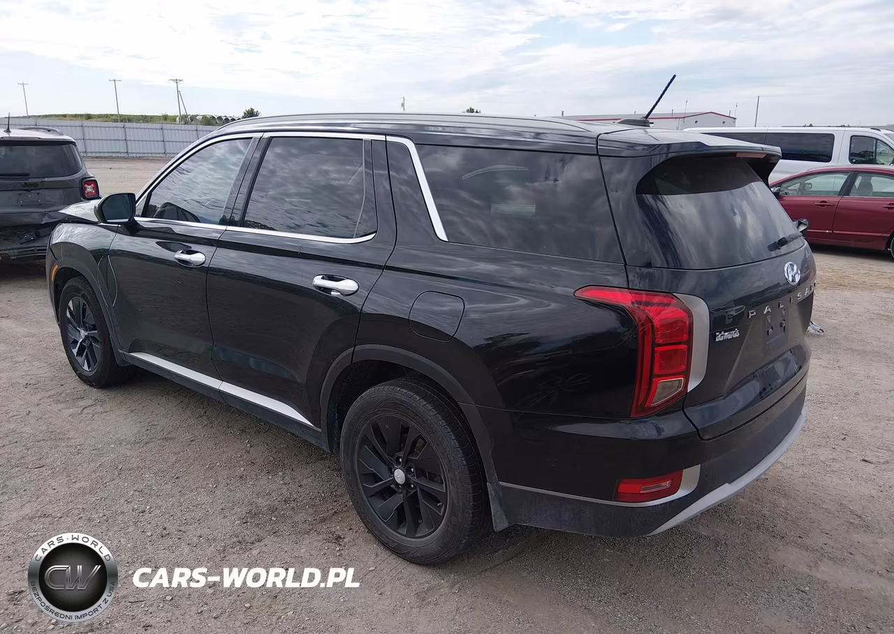 2020 Hyundai Palisade Sel VIN:KM8R2DHE6LU043792 - 3