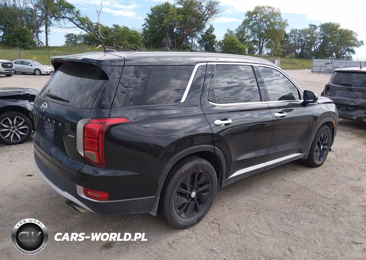 2020 Hyundai Palisade Sel VIN:KM8R2DHE6LU043792 - 4