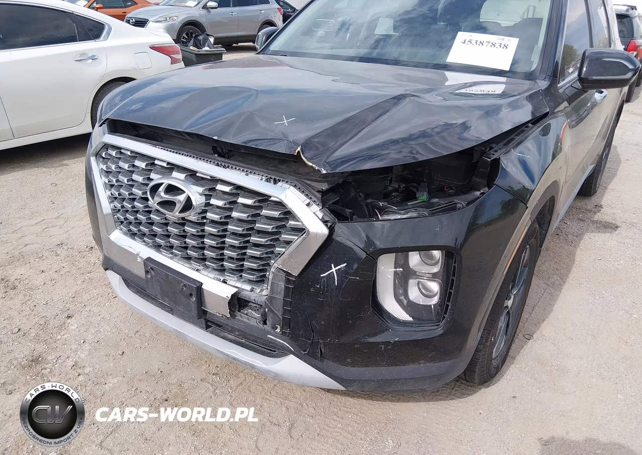 2020 Hyundai Palisade Sel VIN:KM8R2DHE6LU043792 - 6