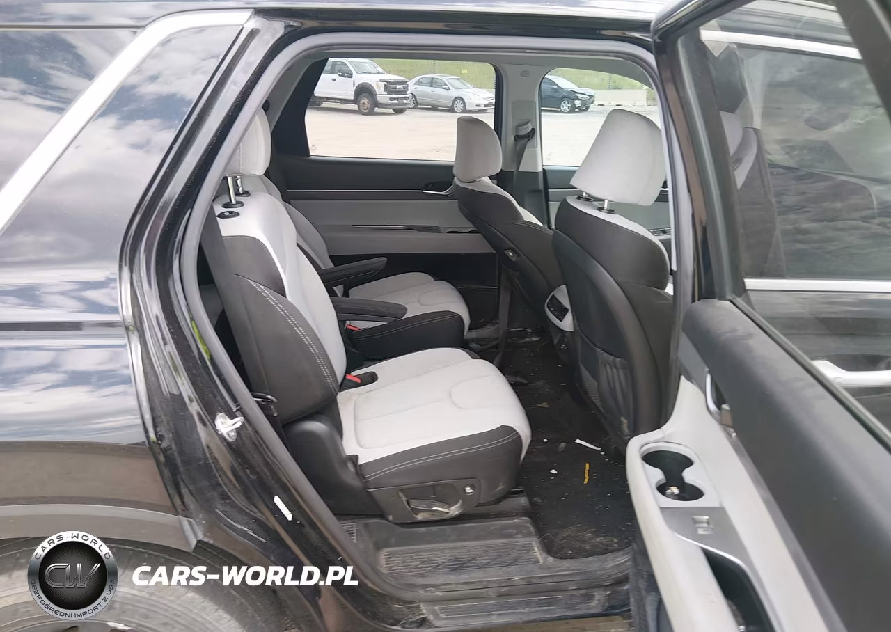 2020 Hyundai Palisade Sel VIN:KM8R2DHE6LU043792 - 8