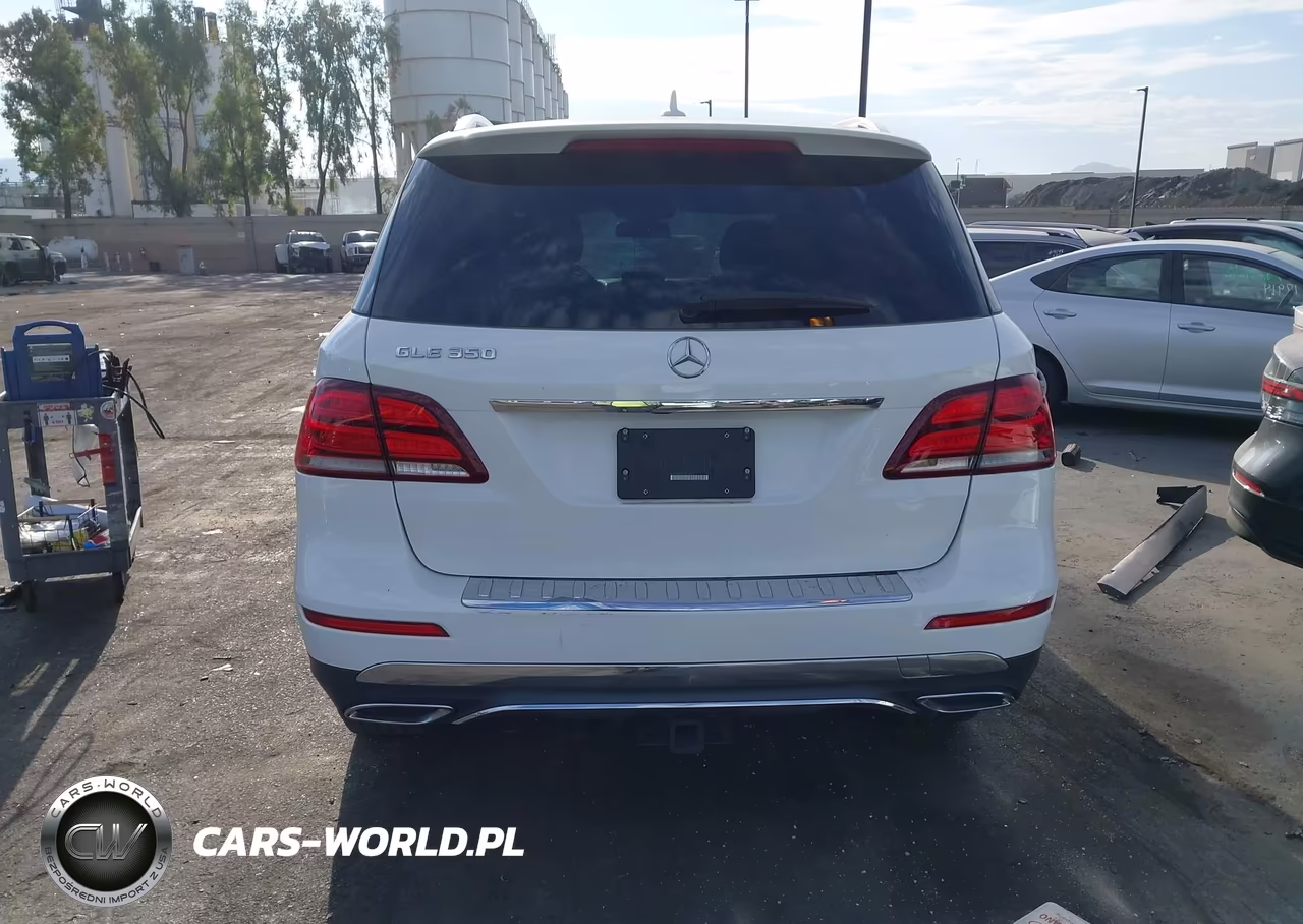 2017 Mercedes-Benz Gle 350 VIN:4JGDA5JB0HA974879 - 16