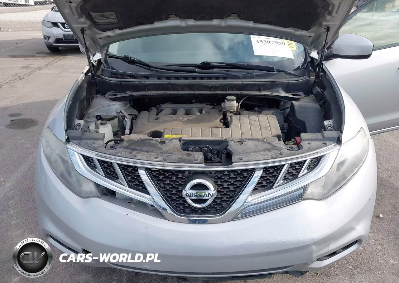 2013 Nissan Murano Le VIN:JN8AZ1MW7DW320373 - 10