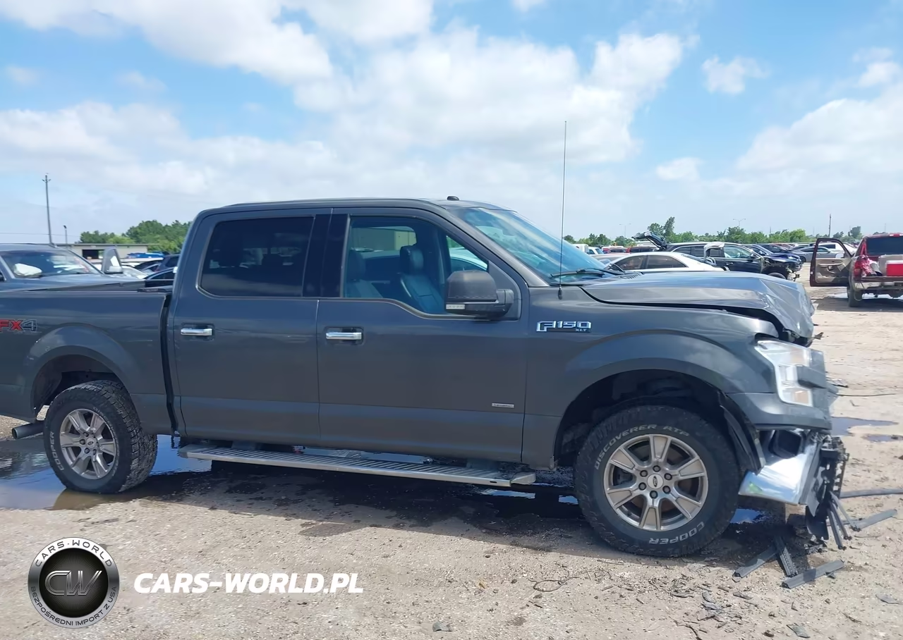 2016 Ford F-150 Xlt VIN:1FTEW1EP9GKD71852 - 13