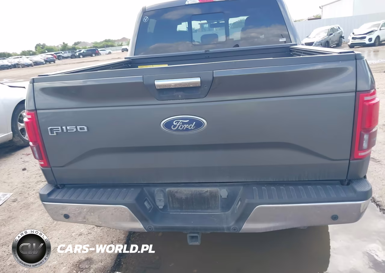 2016 Ford F-150 Xlt VIN:1FTEW1EP9GKD71852 - 16