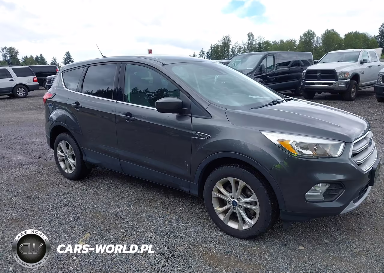 2019 Ford Escape Se