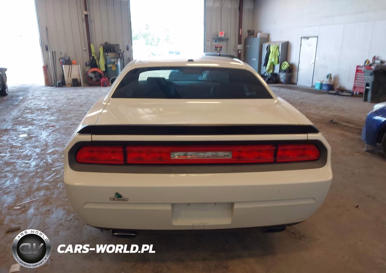 2010 Dodge Challenger R-T VIN:2B3CJ5DT0AH255256 - 16