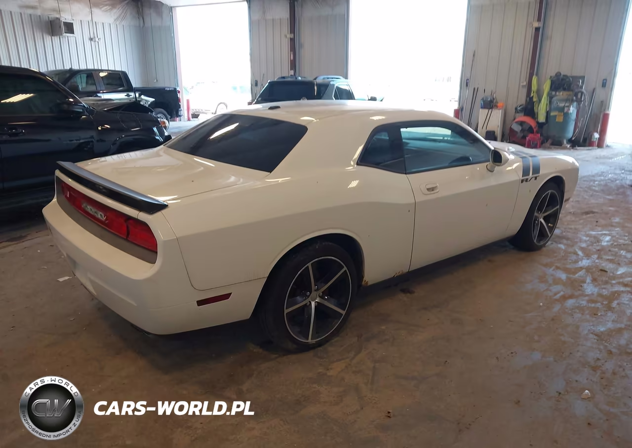 2010 Dodge Challenger R-T VIN:2B3CJ5DT0AH255256 - 4