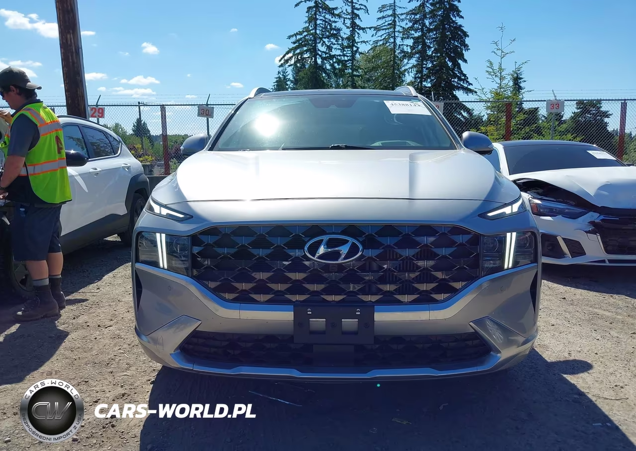2023 Hyundai Santa Fe Calligraphy VIN:5NMS54AL5PH492397 - 12