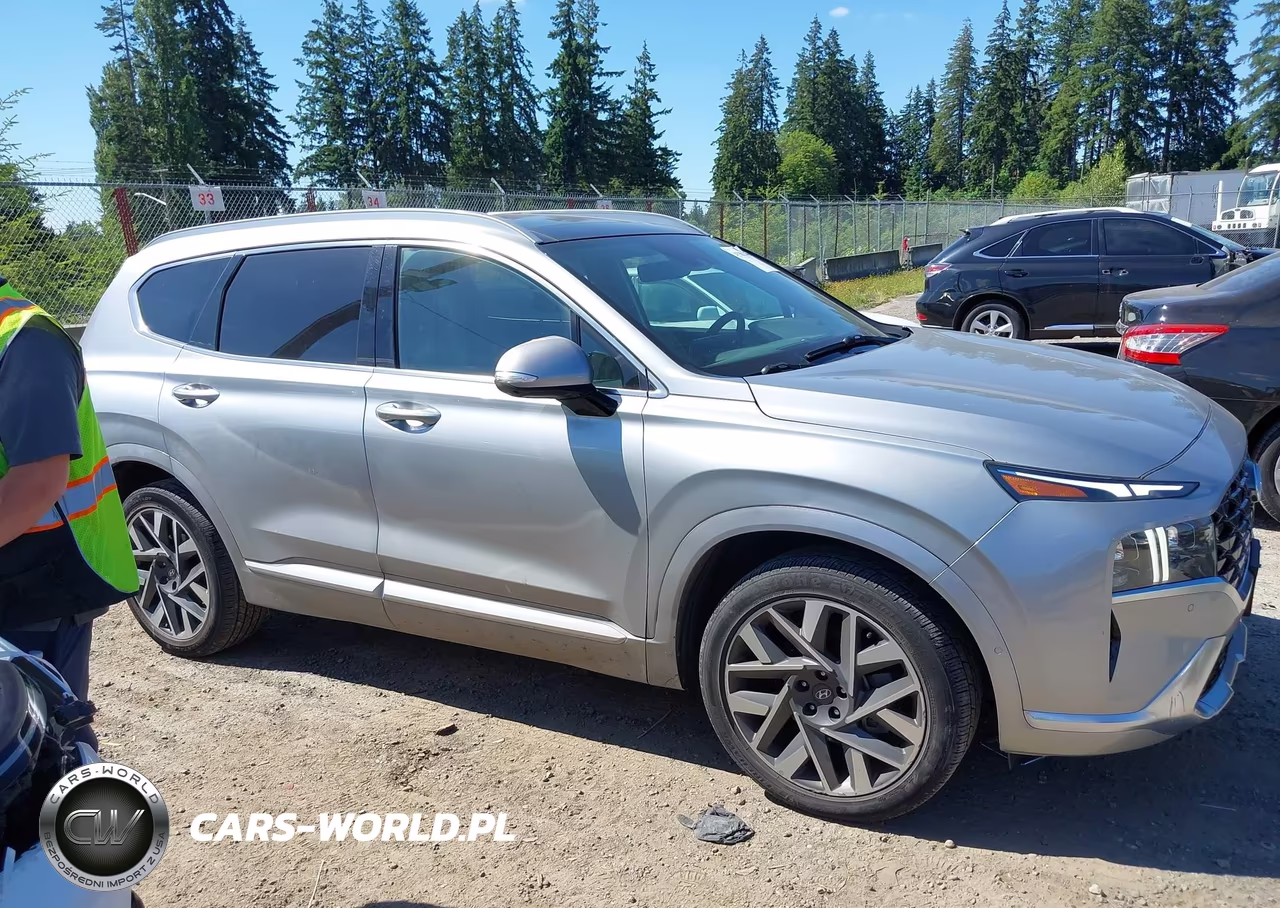 2023 Hyundai Santa Fe Calligraphy VIN:5NMS54AL5PH492397 - 13