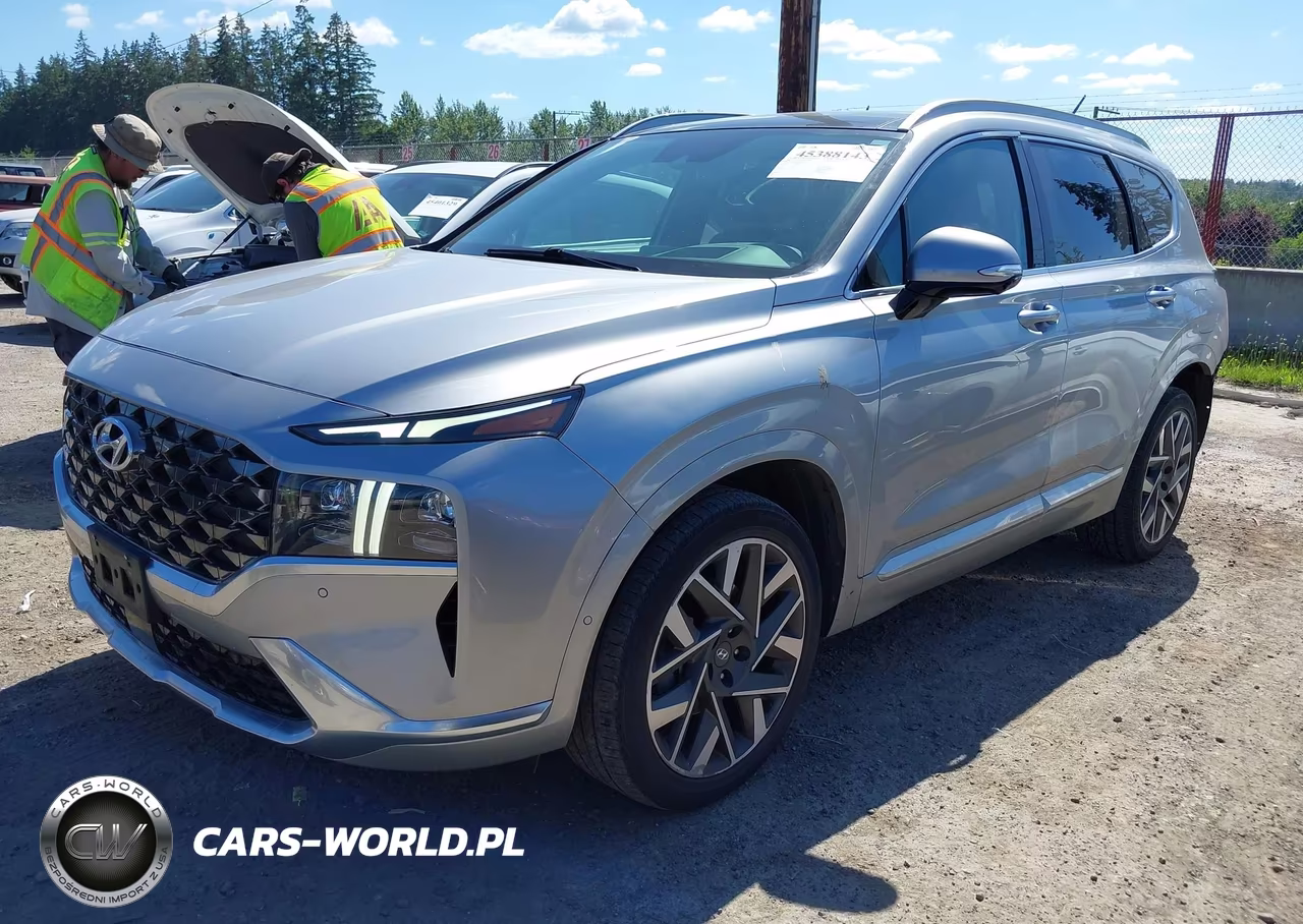 2023 Hyundai Santa Fe Calligraphy VIN:5NMS54AL5PH492397 - 2
