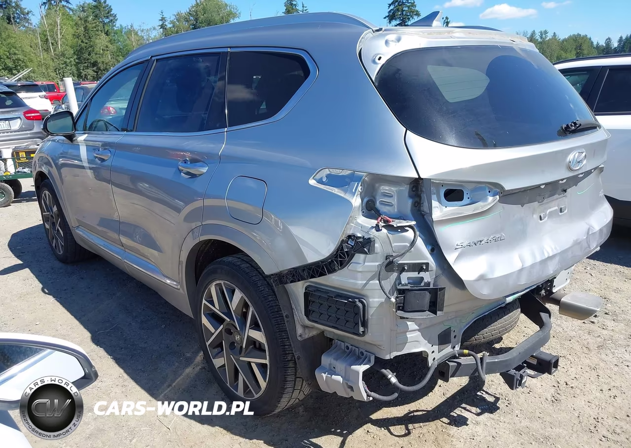 2023 Hyundai Santa Fe Calligraphy VIN:5NMS54AL5PH492397 - 3