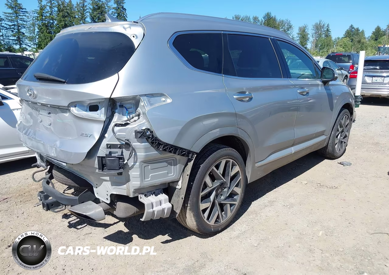 2023 Hyundai Santa Fe Calligraphy VIN:5NMS54AL5PH492397 - 4