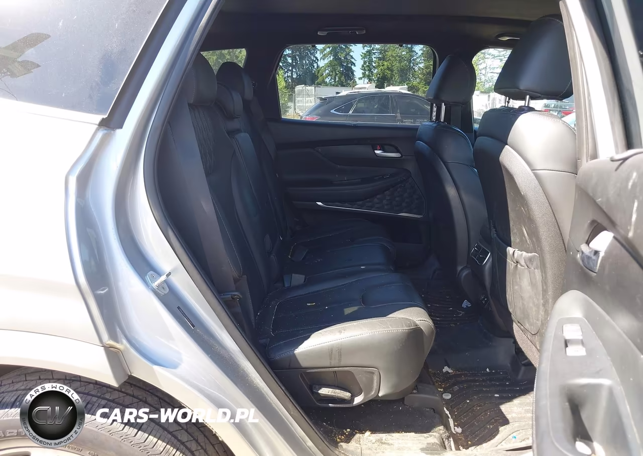 2023 Hyundai Santa Fe Calligraphy VIN:5NMS54AL5PH492397 - 8