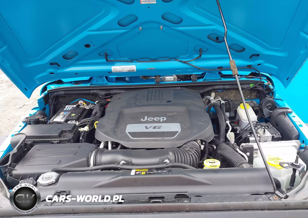 2018 Jeep Wrangler Jk Sport S 4X4 VIN:1C4AJWAGXJL809392 - 10