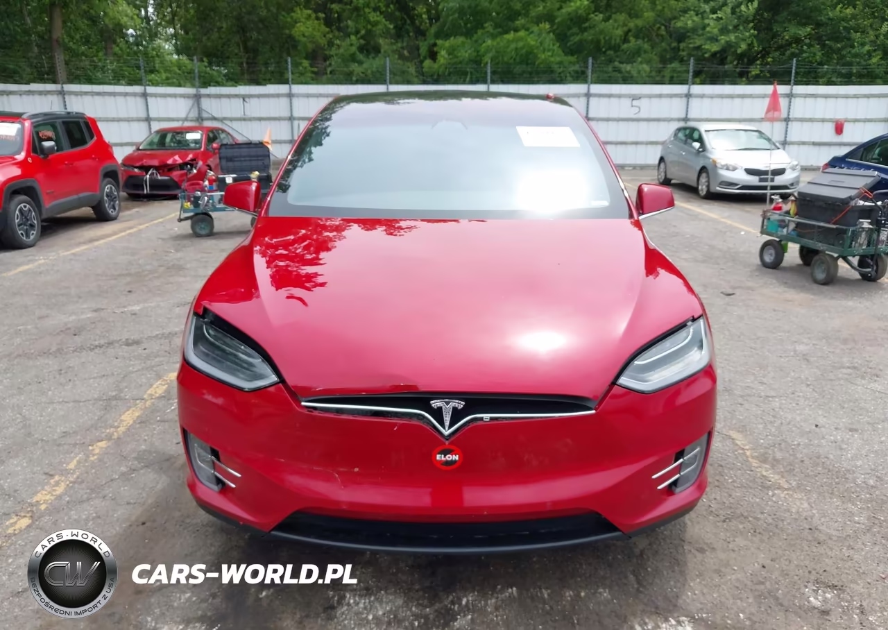 2019 Tesla Model X 100D-75D-Long Range-Standard Range VIN:5YJXCDE27KF157195 - 12