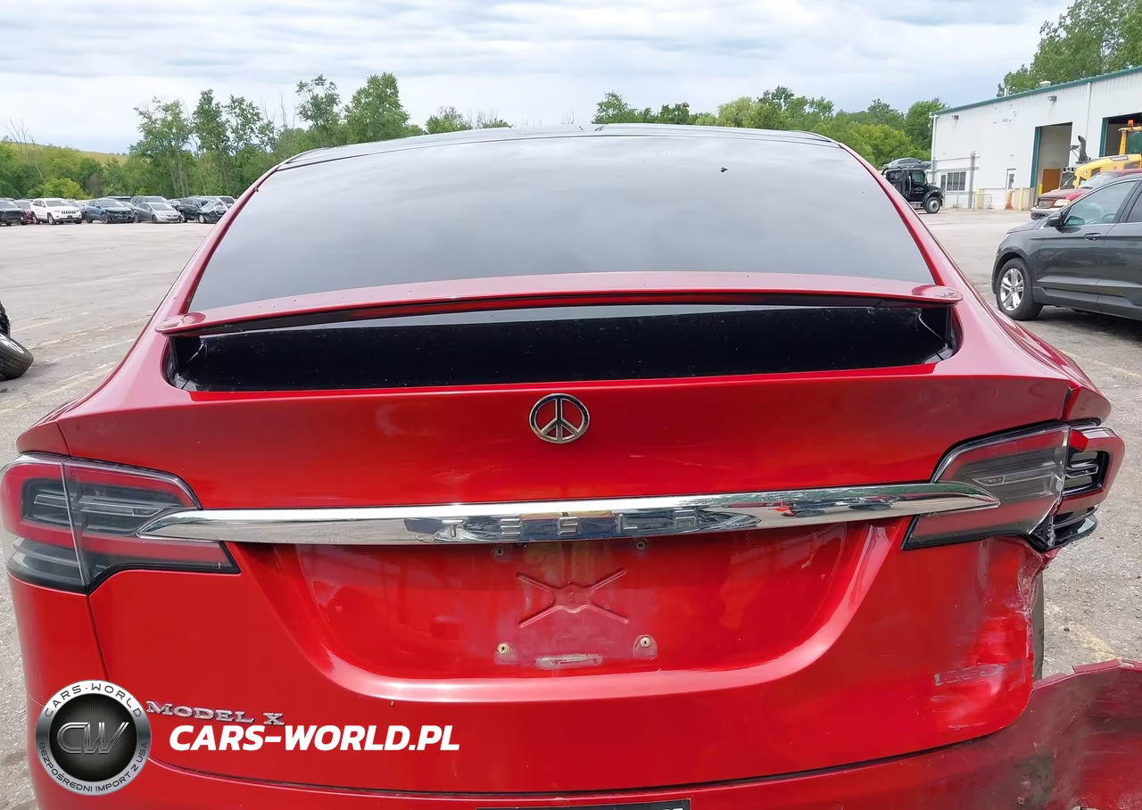 2019 Tesla Model X 100D-75D-Long Range-Standard Range VIN:5YJXCDE27KF157195 - 16
