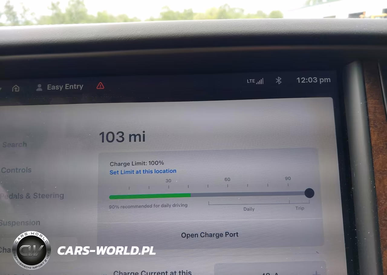 2019 Tesla Model X 100D-75D-Long Range-Standard Range VIN:5YJXCDE27KF157195 - 17