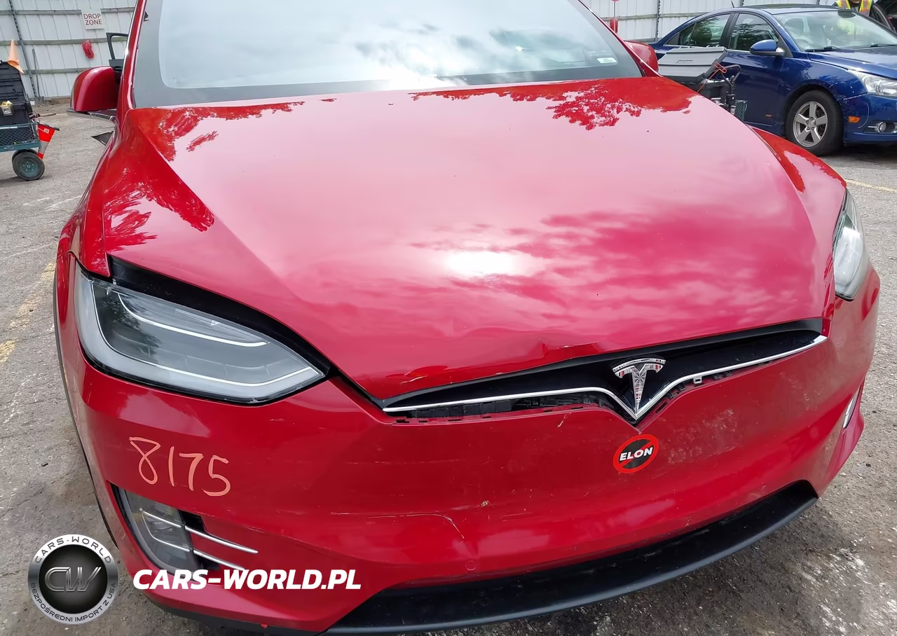 2019 Tesla Model X 100D-75D-Long Range-Standard Range VIN:5YJXCDE27KF157195 - 19