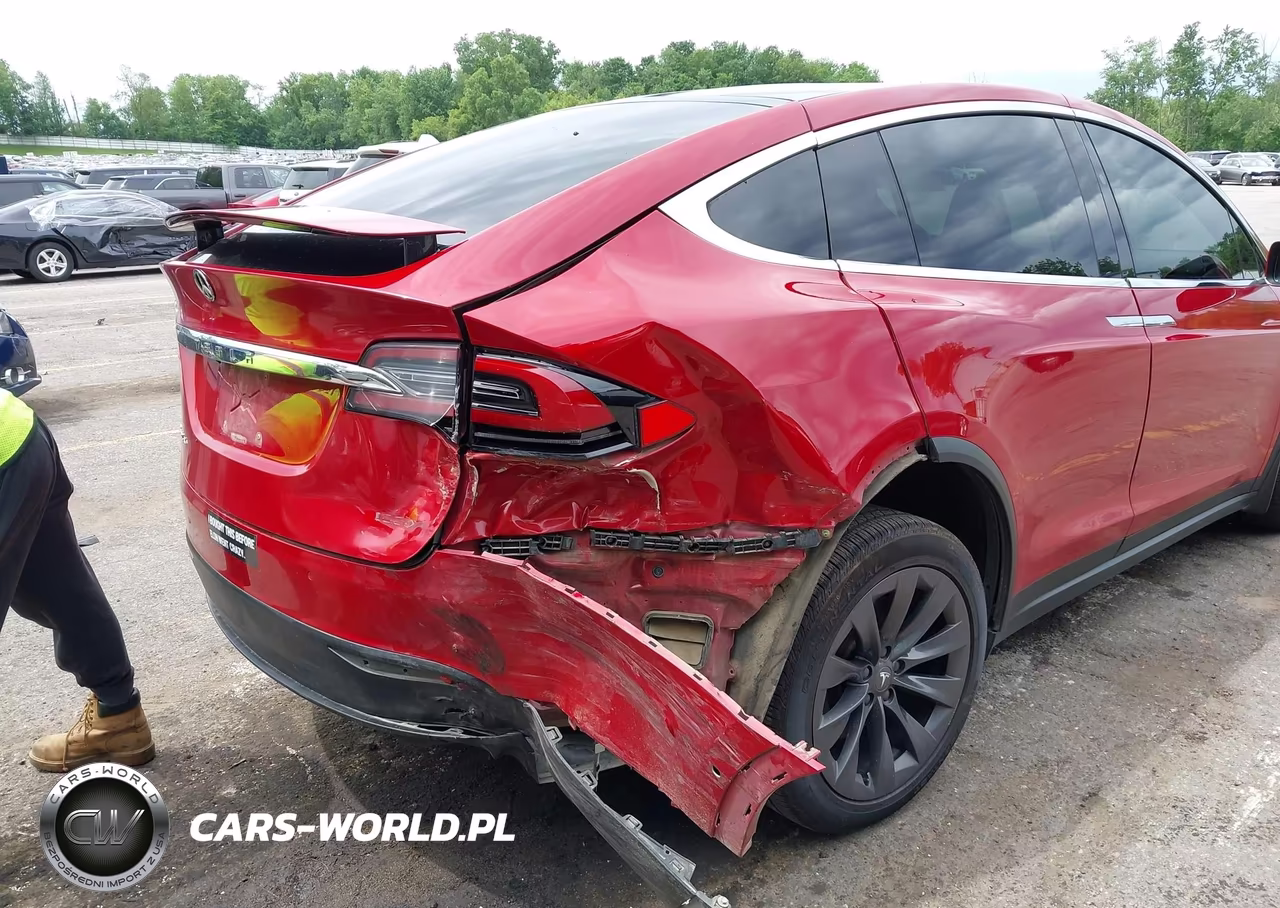 2019 Tesla Model X 100D-75D-Long Range-Standard Range VIN:5YJXCDE27KF157195 - 6