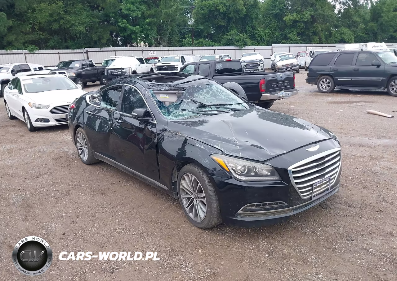 2016 Hyundai Genesis 3.8 VIN:KMHGN4JE2GU116672 - 1