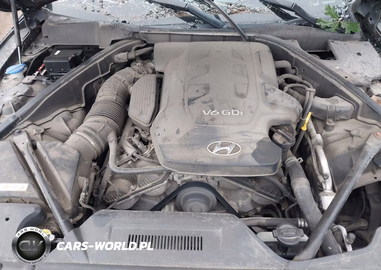2016 Hyundai Genesis 3.8 VIN:KMHGN4JE2GU116672 - 10