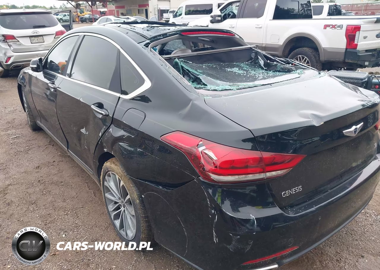 2016 Hyundai Genesis 3.8 VIN:KMHGN4JE2GU116672 - 13