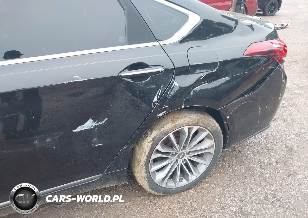 2016 Hyundai Genesis 3.8 VIN:KMHGN4JE2GU116672 - 14