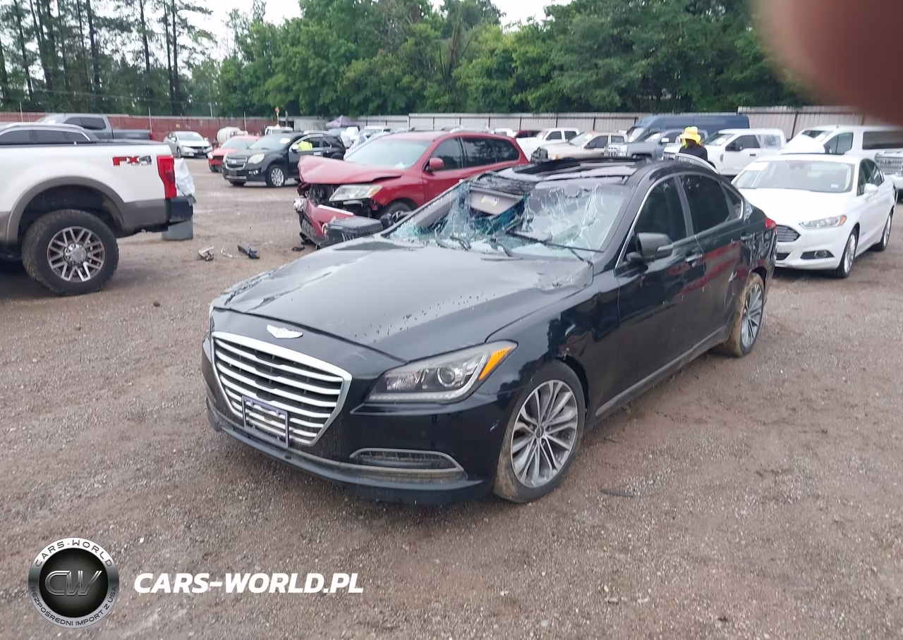 2016 Hyundai Genesis 3.8 VIN:KMHGN4JE2GU116672 - 2