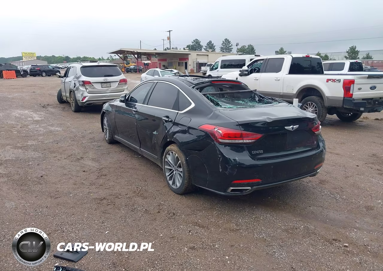 2016 Hyundai Genesis 3.8 VIN:KMHGN4JE2GU116672 - 3