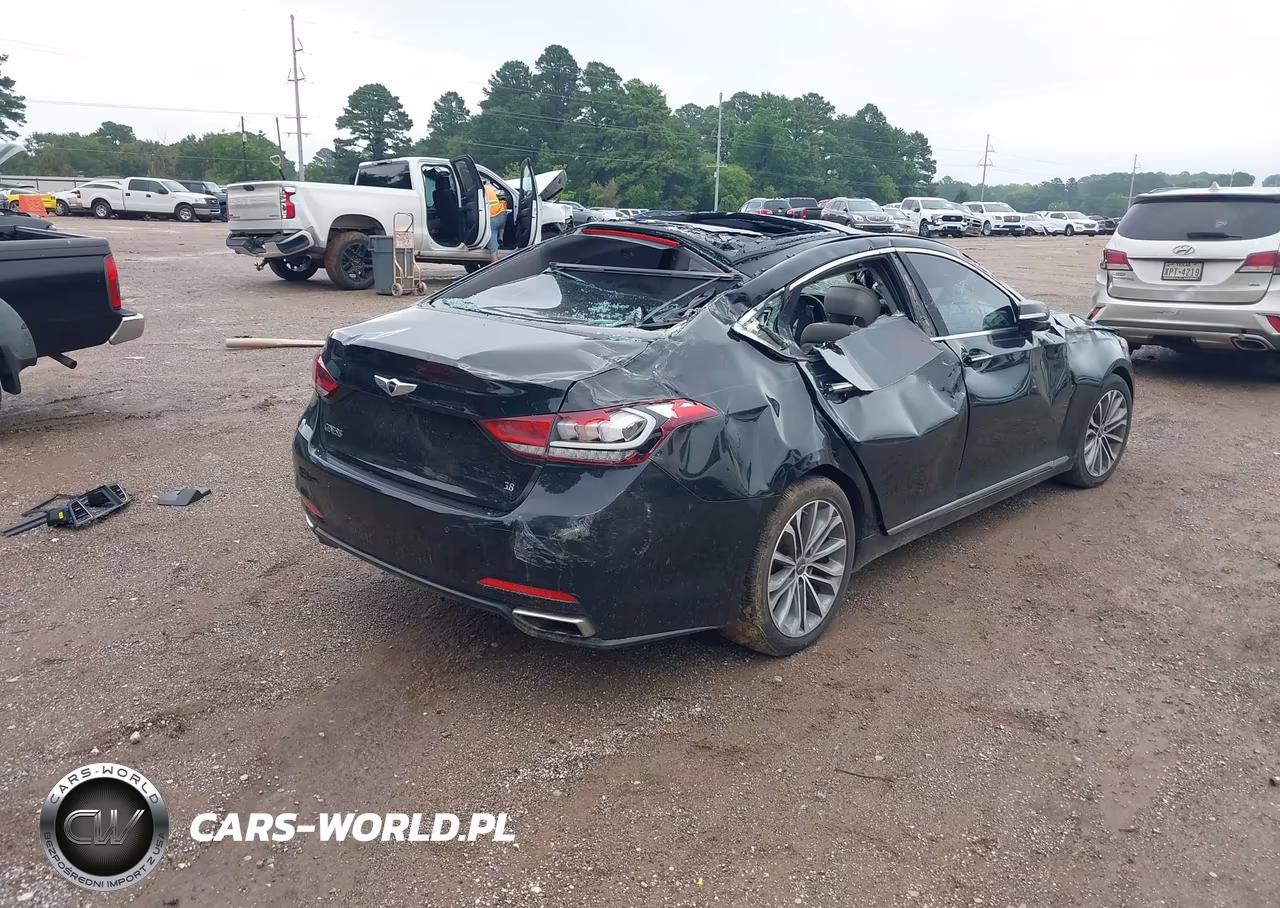 2016 Hyundai Genesis 3.8 VIN:KMHGN4JE2GU116672 - 4