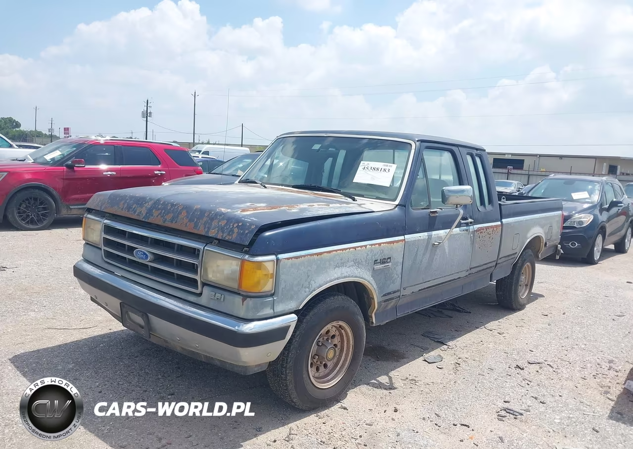 1991 Ford F150 VIN:1FTEX15N3MKB01099 - 2